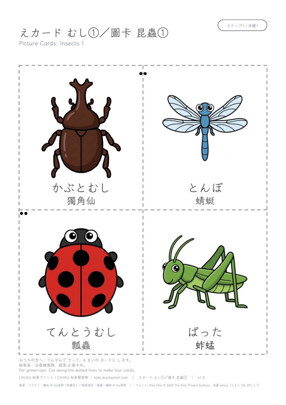 Picture Cards: Insects 1 | Printable Flashcards