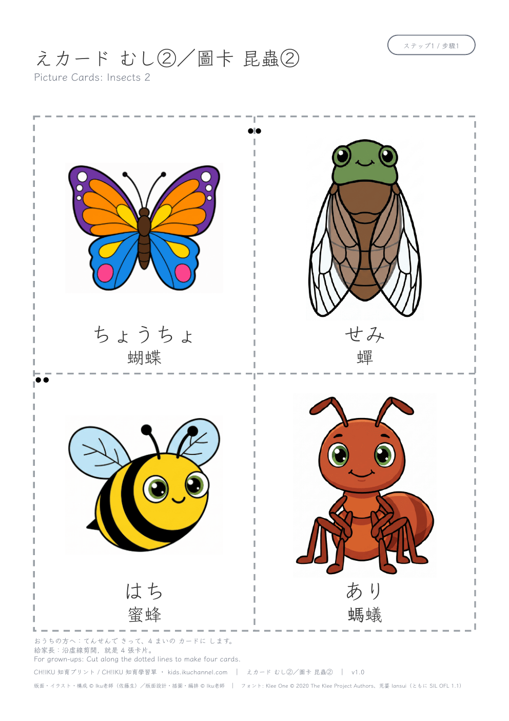 Picture Cards: Insects 2 | Printable Flashcards