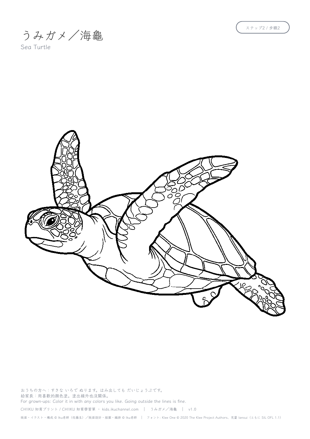 Sea Turtle Coloring Page